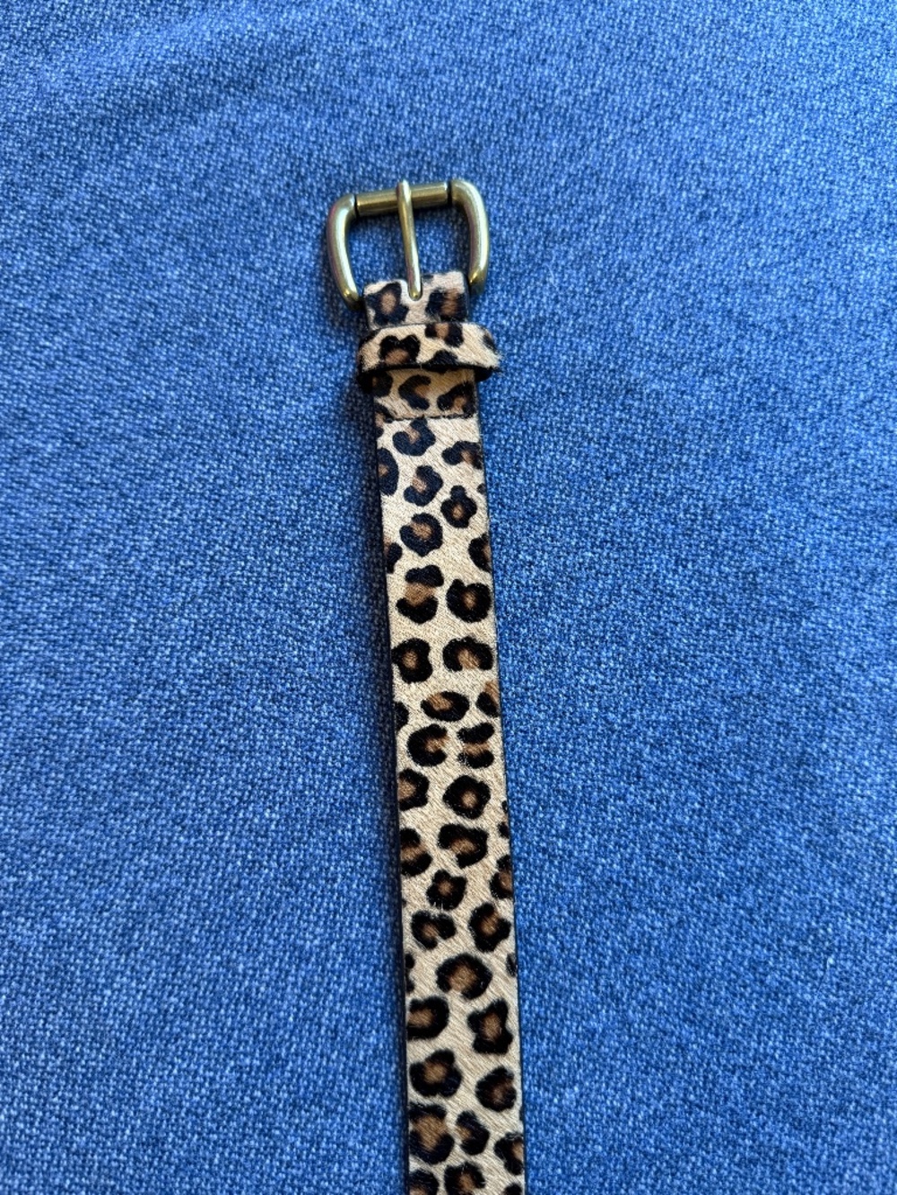 J. Crew Classic Calf Hair Belt in Leopard - Picture 2 of 4